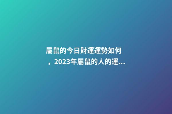 屬鼠的今日財運運勢如何，2023年屬鼠的人的運勢指南-事業(yè)有成